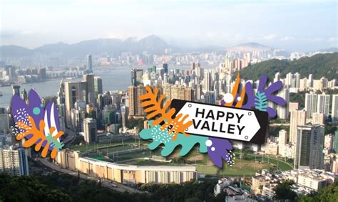 sassy s neighbourhood guide to happy valley