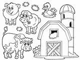 Animals Coloring Pages Barnyard Animal Farm Getdrawings sketch template