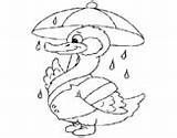 Duck Coloring Rain Coloringcrew Pages Autumn Dibujo sketch template