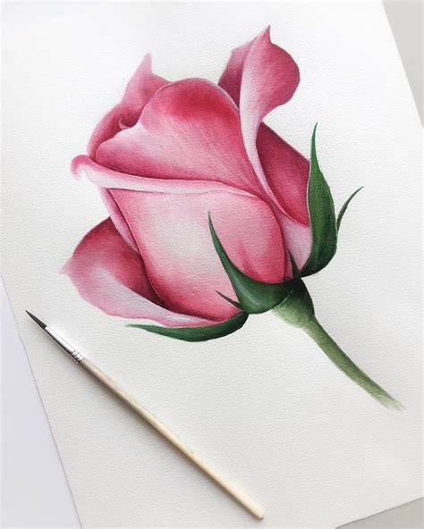 colored pencil flower drawings
