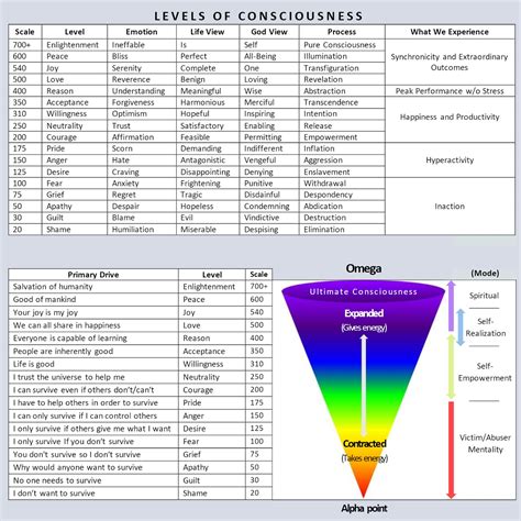 understanding levels  consciousness