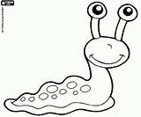 Pages Slug Coloring Printable Animal Template Sea Slugs Clipart Color Drawing Cartoon Templates Book Choose Board sketch template