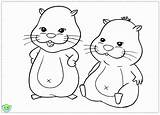 Zhu Colouring Pets Pages Coloring sketch template