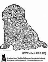 Mountain Bernese sketch template