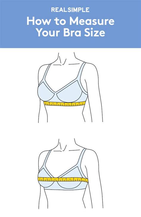 shopping measure bra sizes  bra sizes  pinterest