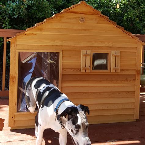custom dog house  giant dog breeds customize  ac heat