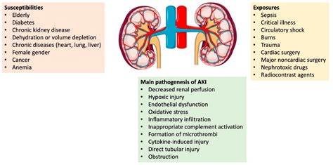 jcm  full text acute kidney injury medical   pathogenesis