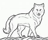 Wolf Coloring Pages Printable Kids Online sketch template