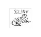 Liger Coloring Pages Animals sketch template