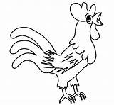 Gallo Colorear Galo Coq Desenho Disegno Gall Dibuix Stampare Animali Aves sketch template