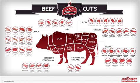 beef cuts chart infographic diagram  bbq depot