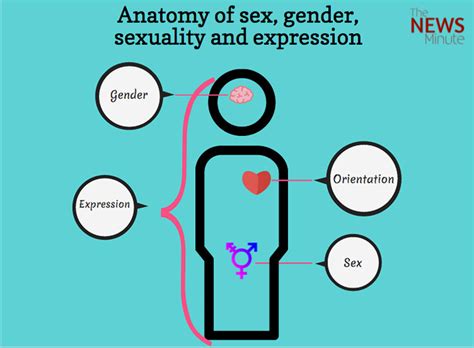 Understanding Sex And Gender They Are Connected But Not