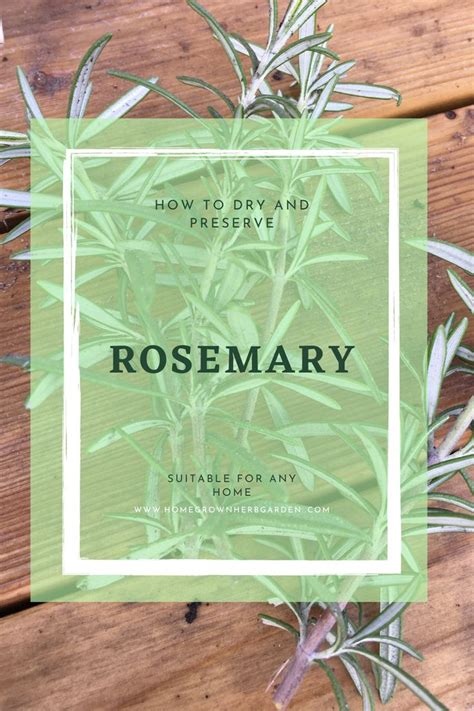 preserve fresh rosemary     dry rosemary homemade