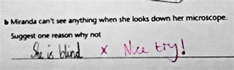hilarious  epic test answers  kids