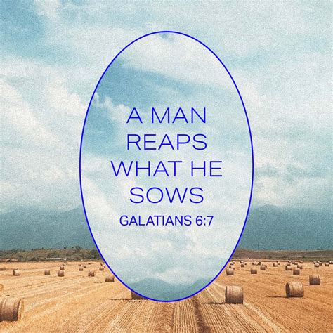 Galatians 6 7 8 Be Not Deceived God Is Not Mocked For Whatsoever A