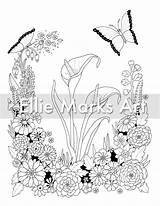 Lilies Calla sketch template