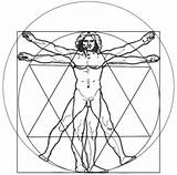Vitruvio Renacentista Curiosidades Dibujar Vitrubio Geometria Proporciones Humana Figura Dónde Está sketch template