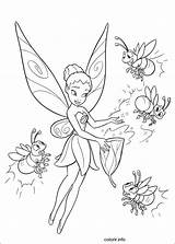 Tinker Tinkerbell Colouring Colorear Fairies sketch template