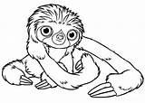 Sloth Perezoso Oso Croods Popular Colorluna Malvorlagen Getcolorings Tattooimages Uncolored sketch template