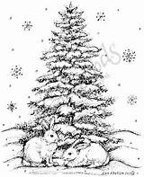 Northwoods Snowy Spruce Bunnies Arbres sketch template