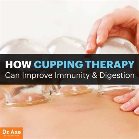 cupping therapy  pain immunity digestion dr axe