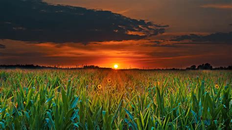 crop field sunset p resolution hd  wallpapers images backgrounds