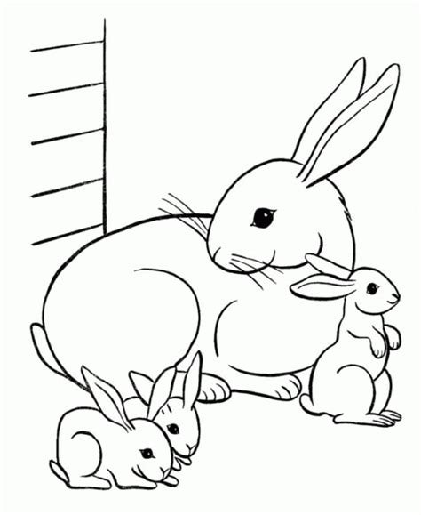 family rabbits coloring page  printable coloring pages  kids