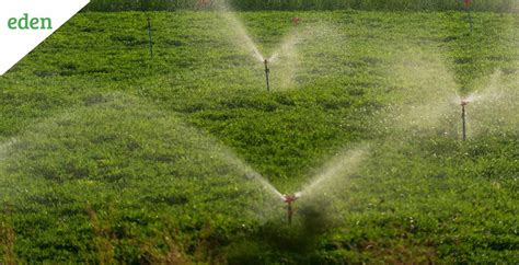 sprinkler irrigation      eden lawn care