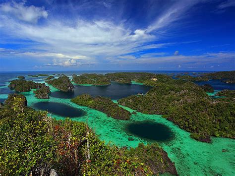 papua  guinea pictures images  stock  istock