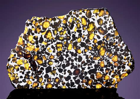 imilac pallasite partial slice   beautiful extraterrestrial substance  stony iron