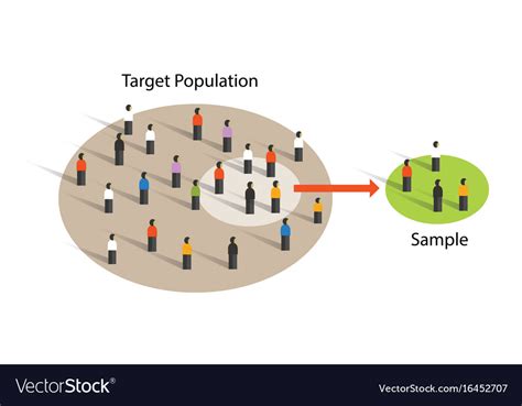 sample  population statistics research survey vector image