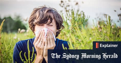 Hay Fever How To Prevent It Why You Get It And This Season S Hay