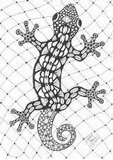 Gecko Zentangle Salamandre Lizard Mandalas Dessin Pages Coloring Mandala Printable Coloriage Colorier Adult Lezard Imprimer Tiere Patterns Tangle Google Colouring sketch template