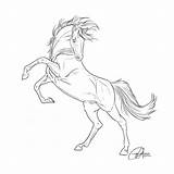 Horse Drawing Horses Easy Rearing Drawings Sketch Barcode Scan Getdrawings Patriots Icon Clipart Refined Definition sketch template