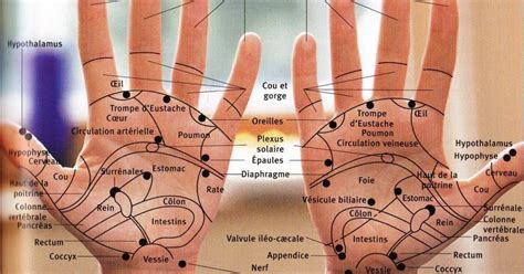 acupression appuyez sur ces points de votre main pour soulager la douleur