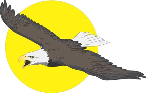 flying eagle clip art clipart