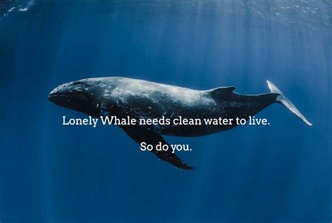 Lonelywhale Stuff To Do Movie Posters Clean Water