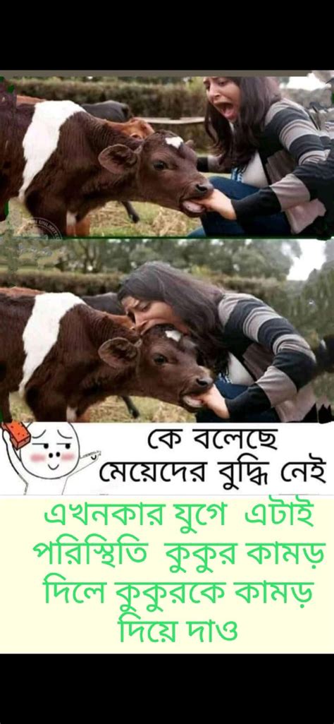 pin by love story on ফানি funny photo captions some