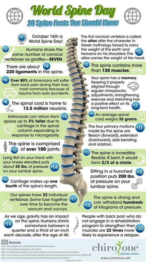 72 best chiropractic facts images on pinterest facts