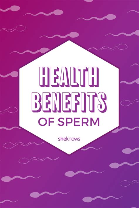 6 Health Benefits Of Semen For Your Mind And Body Page 2 Sheknows