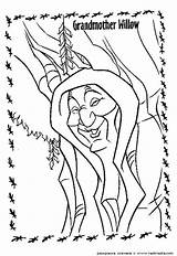 Willow Grandmother sketch template