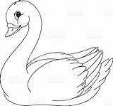 Angsa Kartun Mewarnai Cigno Colorare Swan Coloring Cisne Putih Hitam Lucu Zwaan Paud Cisnes Alas Depositphotos 123rf Rasane Kolorowanki sketch template