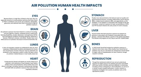 air pollution affect human health clarity