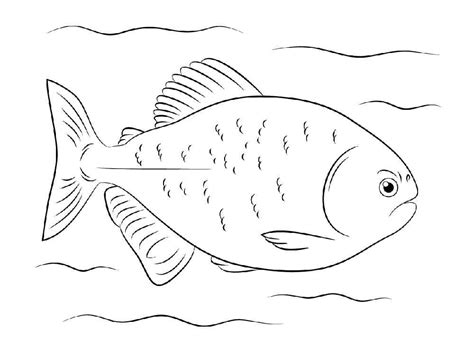 funny piranha coloring page  printable coloring pages  kids