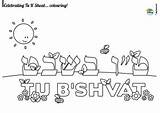 Shvat Bshvat sketch template
