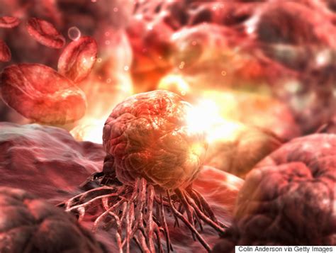 breakthrough cancer discovery  treat   tumours scientists claim