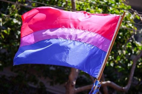 23 De Septiembre Día Internacional De La Bisexualidad Filo News