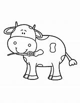 Cow Coloring Baby Pages Cute Getcolorings Color Printable Inspiration sketch template