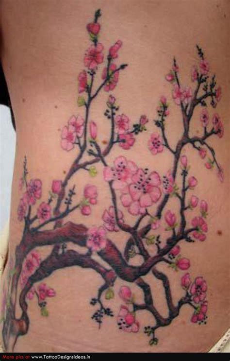 Nice Color Cherry Tree Tattoos Blossom Tattoo Cherry