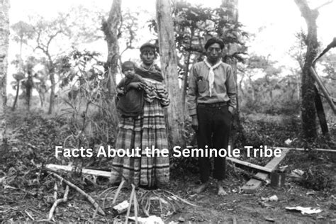 facts   seminole tribe  fun  history
